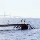 Forretning 7 billede CROWNE PLAZA COPENHAGEN TOWERS Rejser & Turisme i København S 84