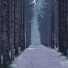 Forretning 1 billede FOTOGRAF GRETE ROLSCHAU i Holstebro 82