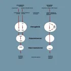 Forretning 1 billede IMPULSKONTROL.DK Undervisning i Århus 82