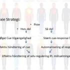 Forretning 2 billede IMPULSKONTROL.DK Undervisning i Århus 82