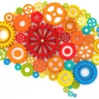 Forretning 4 billede IMPULSKONTROL.DK Undervisning i Århus 82