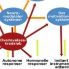 Forretning 5 billede IMPULSKONTROL.DK Undervisning i Århus 82