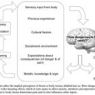 Forretning 5 billede KØBENHAVNS KROPSTERAPEUT Kropsterapi i København Ø 84
