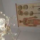 Forretning 9 billede KØBENHAVNS KROPSTERAPEUT Kropsterapi i København Ø 84