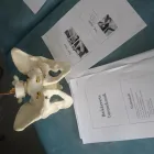 Forretning 11 billede KØBENHAVNS KROPSTERAPEUT Kropsterapi i København Ø 84