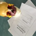 Forretning 12 billede KØBENHAVNS KROPSTERAPEUT Kropsterapi i København Ø 84