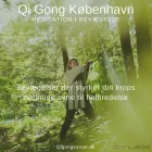 Forretning 3 billede QI GONG KØBENHAVN Sundhedspleje i København K 84