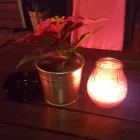 Forretning 11 billede RESTAURANT TIO MARIOS Restauranter i København Ø 84