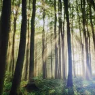 Forretning 1 billede UNGTERAPI Psykoterapi i København 84