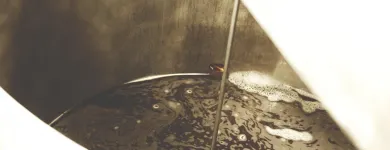 Forretning 1 billede BORGS BRYGHUS Mad & Drikke i Herning 82