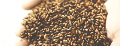 Forretning 5 billede BORGS BRYGHUS Mad & Drikke i Herning 82