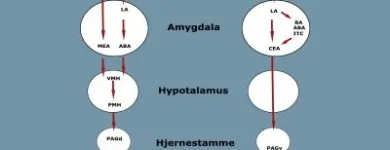 Forretning 1 billede IMPULSKONTROL.DK Undervisning i Århus 82