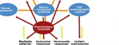 Forretning 5 billede IMPULSKONTROL.DK Undervisning i Århus 82