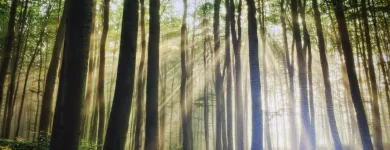 Forretning 1 billede UNGTERAPI Psykoterapi i København 84