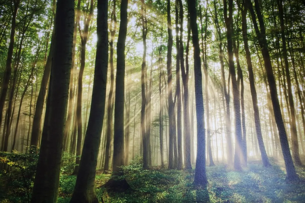 Forretning 1 billede UNGTERAPI