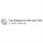 TANDLÆGERNE BORUPS ALLE APS