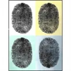 FINN BENTZEN REVISIONSINSTITUT A/S